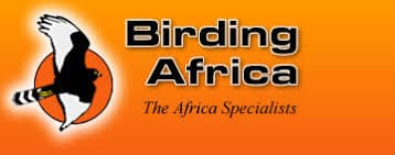 Birding Africa