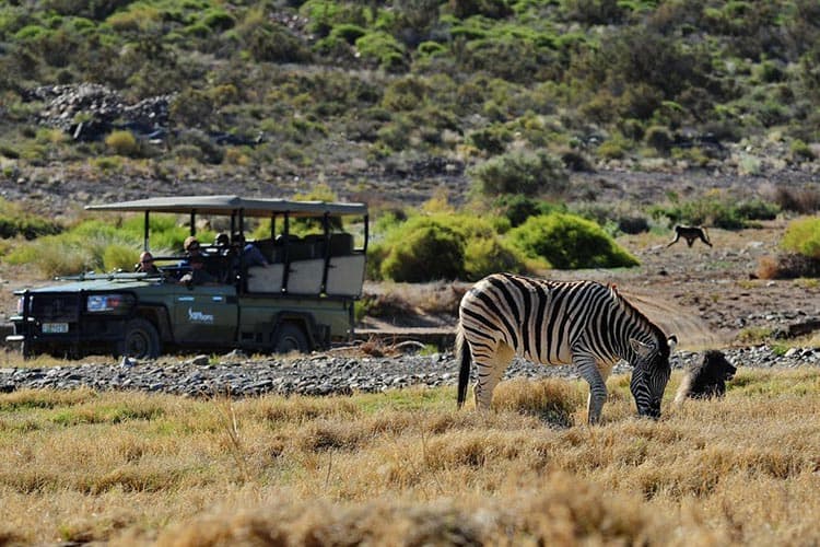 south africa's biggest tourist attractions