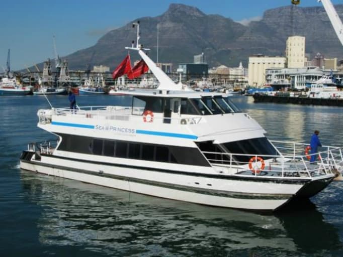 Waterfront Cruise Charters Cape Town
