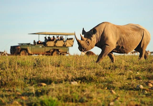 5-Day Garden Route with Shark Cage Diving, Safari, Helicopter (4-star Hotel)
