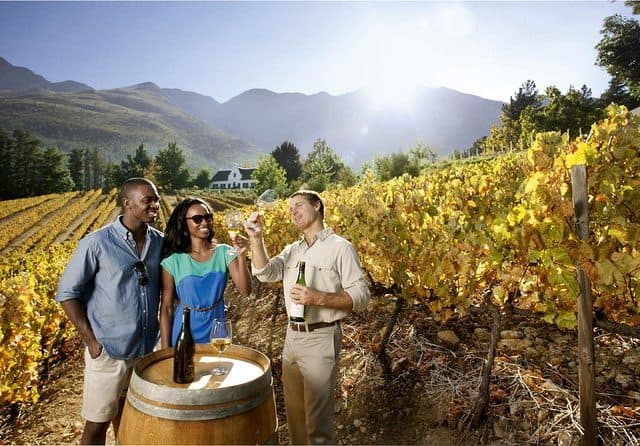 Cape Town City, Table Mountain and Constantia Winelands Full Day Private Tour