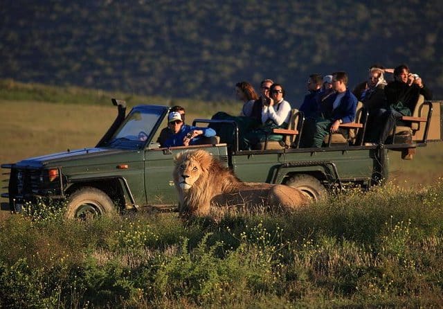 2 Day Safari Experience from Cape Town