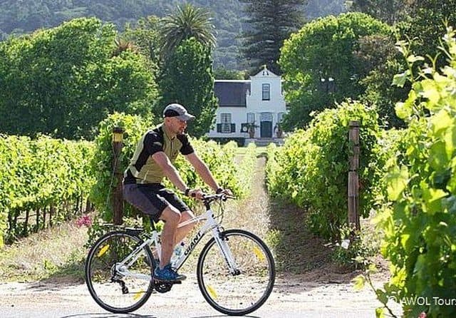Private Cycling Tour of Constantia Winelands