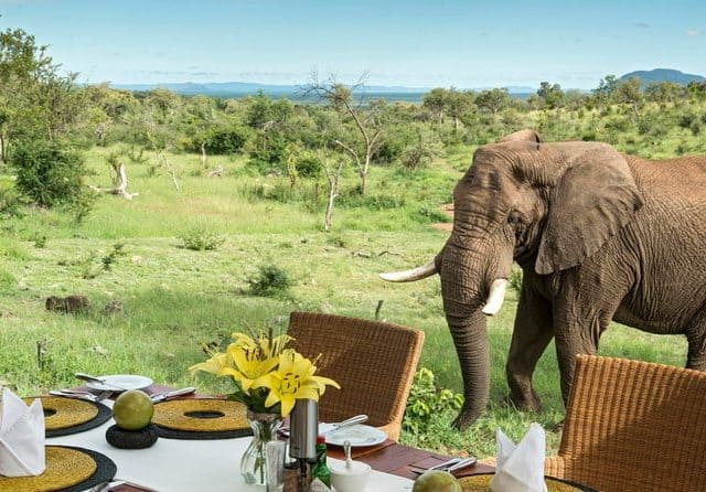 4-Day Private Guided Safari Tour of Madikwe with Meals