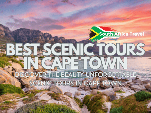 Best Scenic Tours in Cape Town