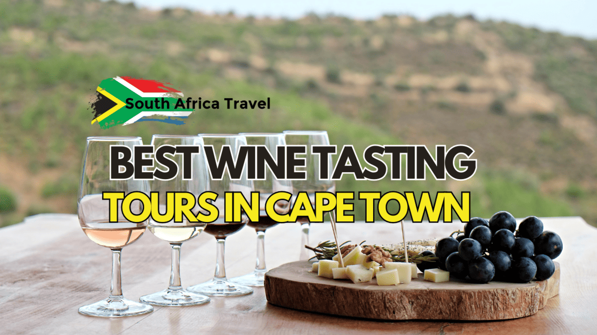 Best Wine Tasting in Cape Town
