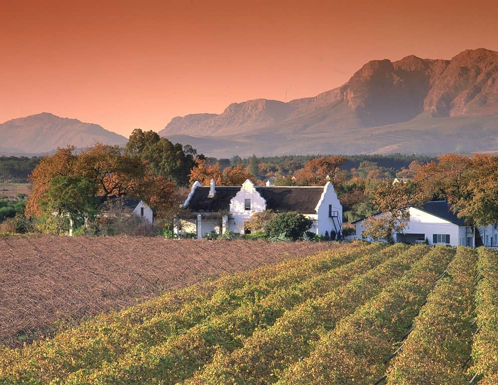 Cape Winelands