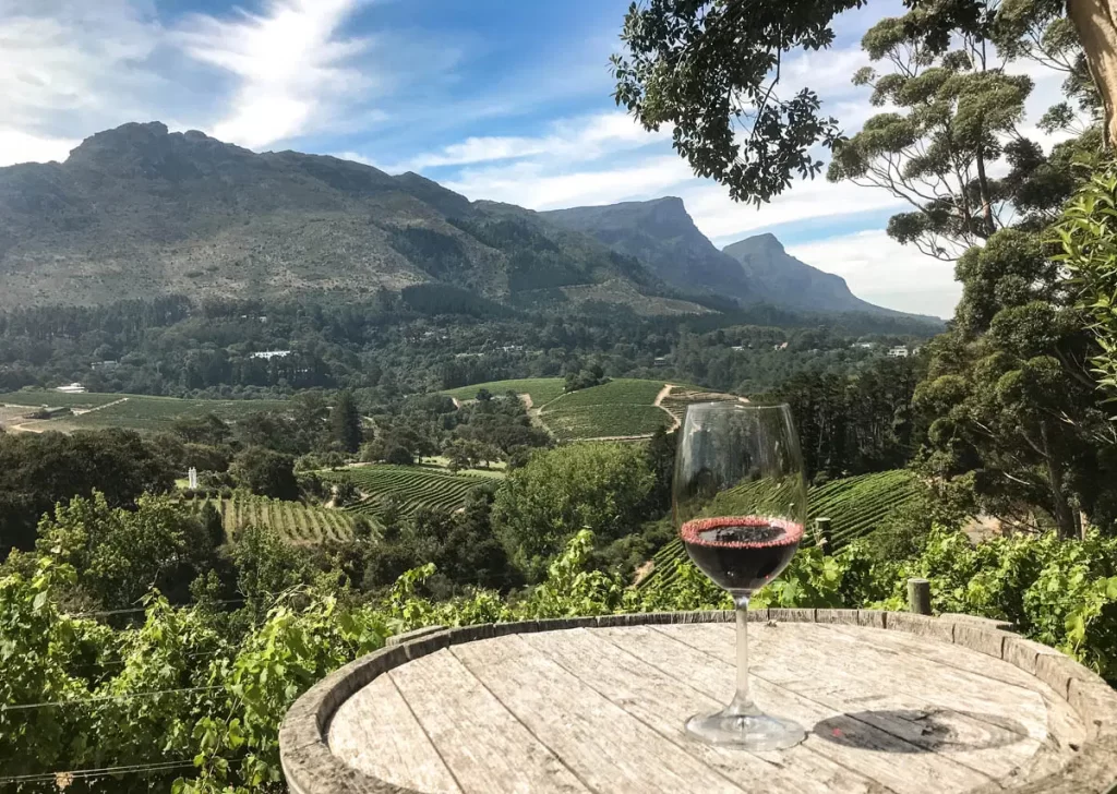 Constantia Valley Wine Tour