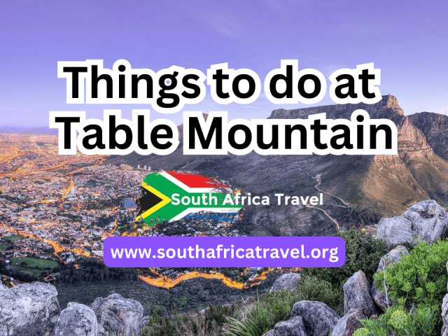 Things to do at Table Mountain in Cape Town