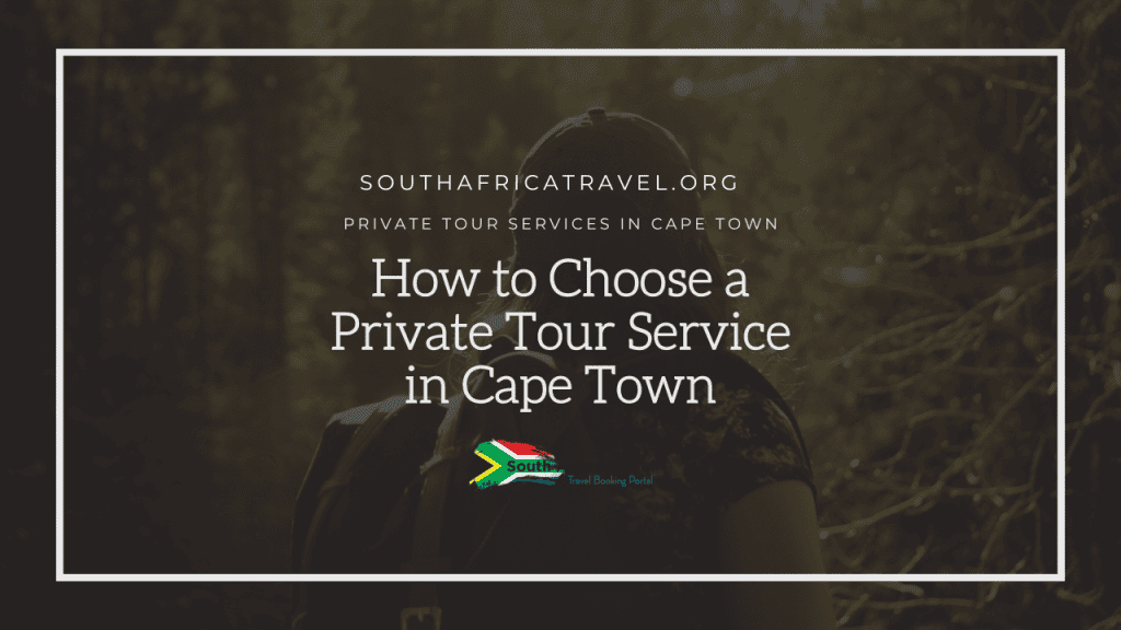 How to Choose a Private Tour Service in Cape Town