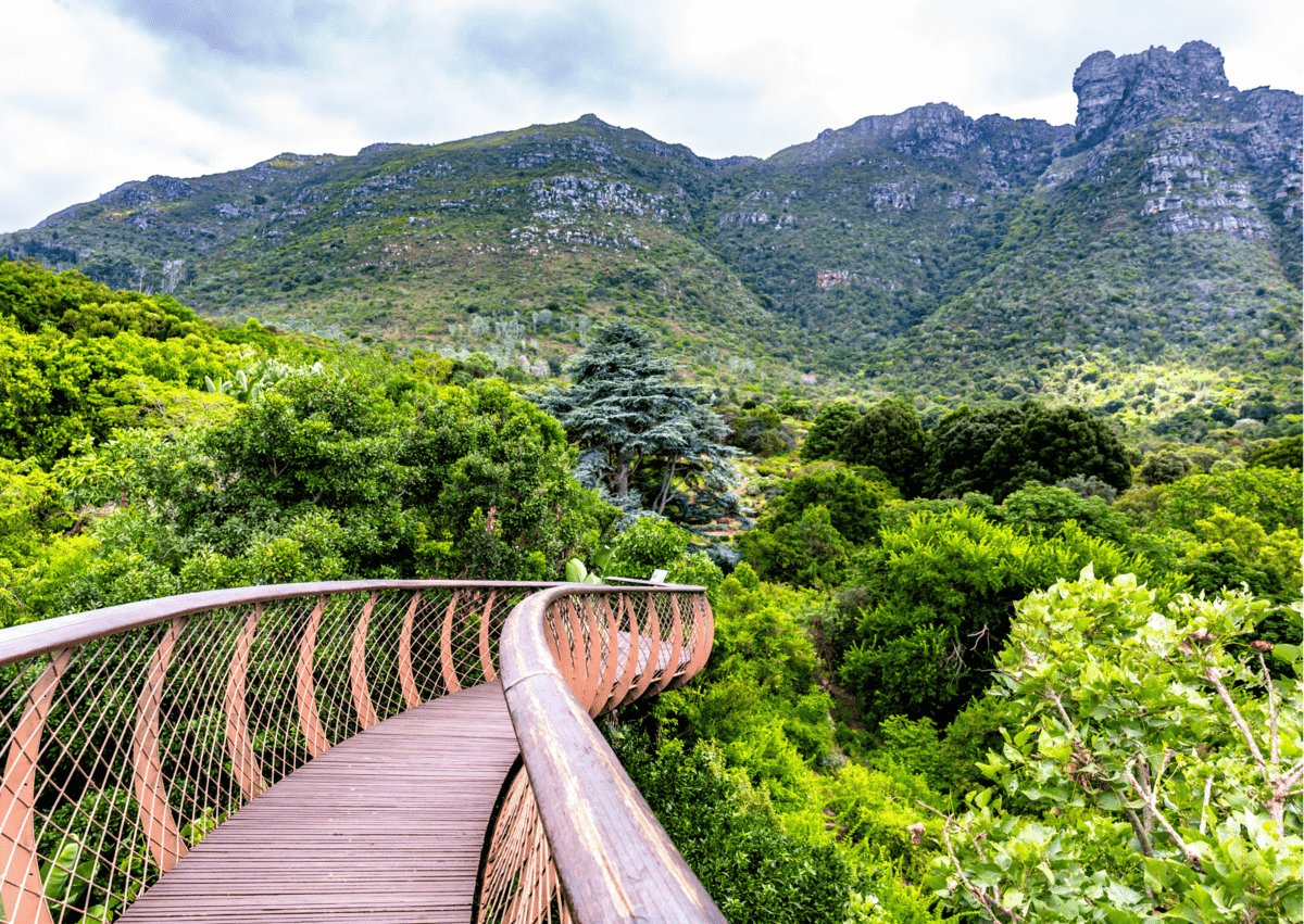 Kirstenbosch National Botanical Garden