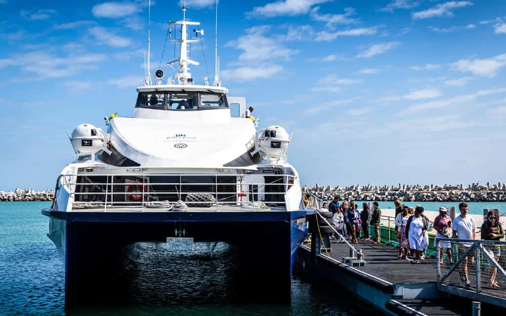 Robben Island Tour from Victoria and Alfred Waterfront