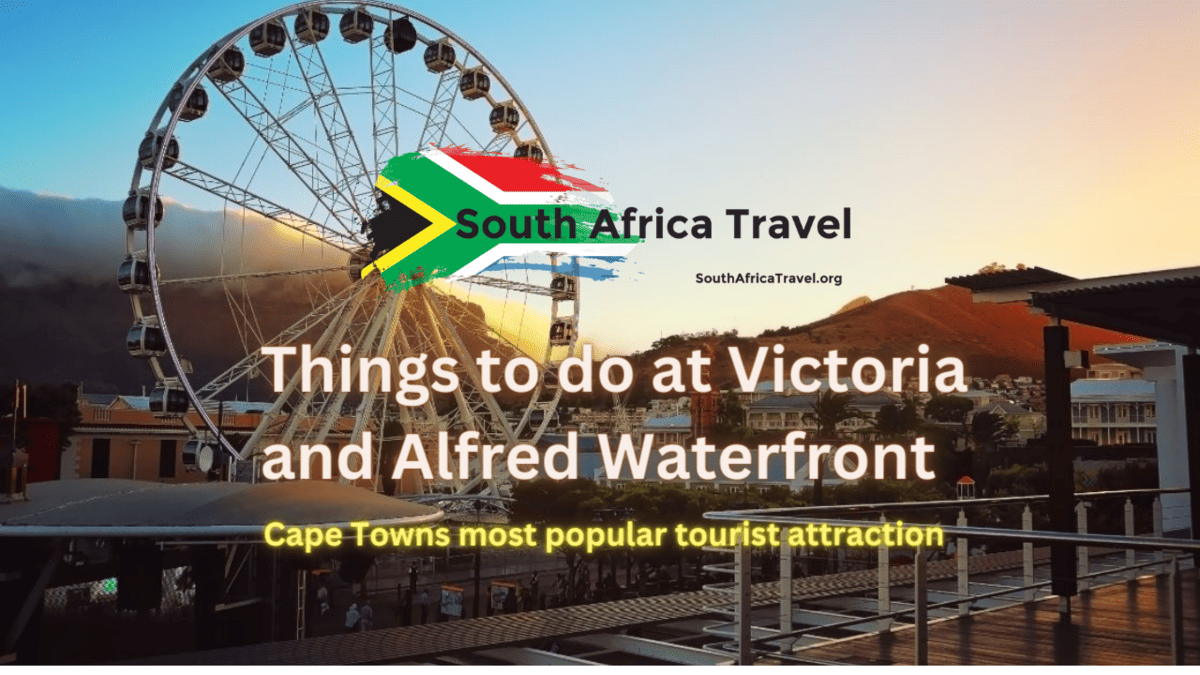 Things to do at Victoria & Alfred Waterfront