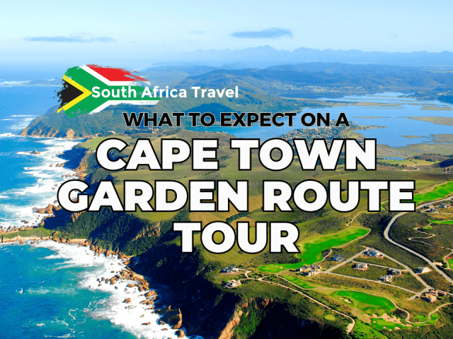 What to Expect on a Cape Town Garden Route Tour