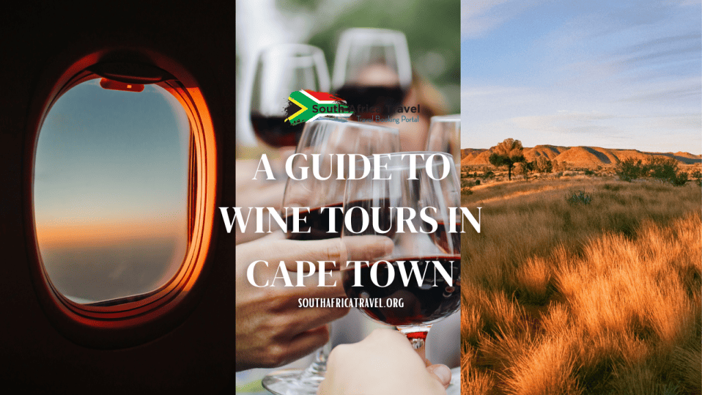 A Guide To Wine Tours in Cape Town