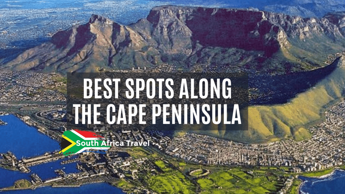 The Best Spots Along The Cape Peninsula