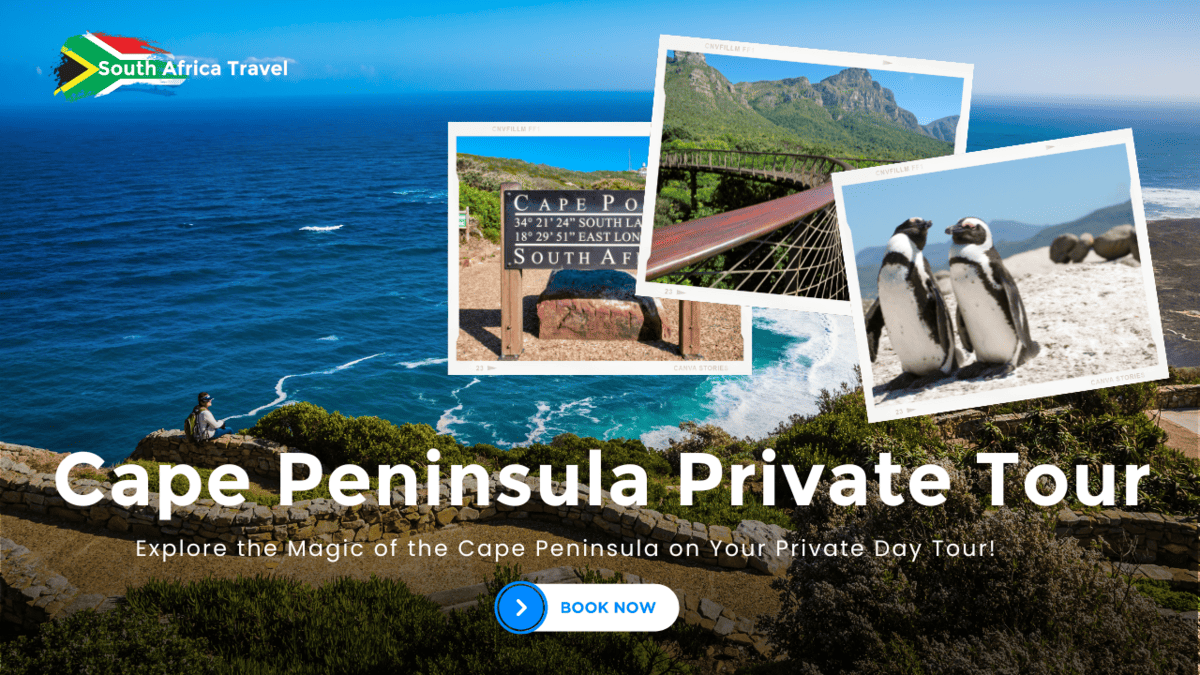 Cape Peninsula Private Tour