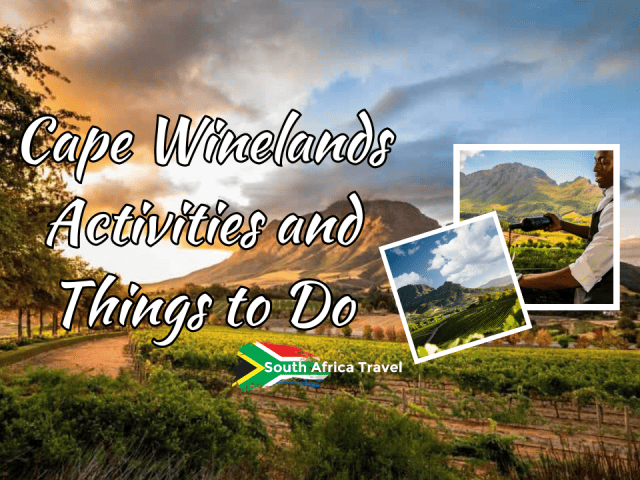 Cape Winelands Activities and Things to Do