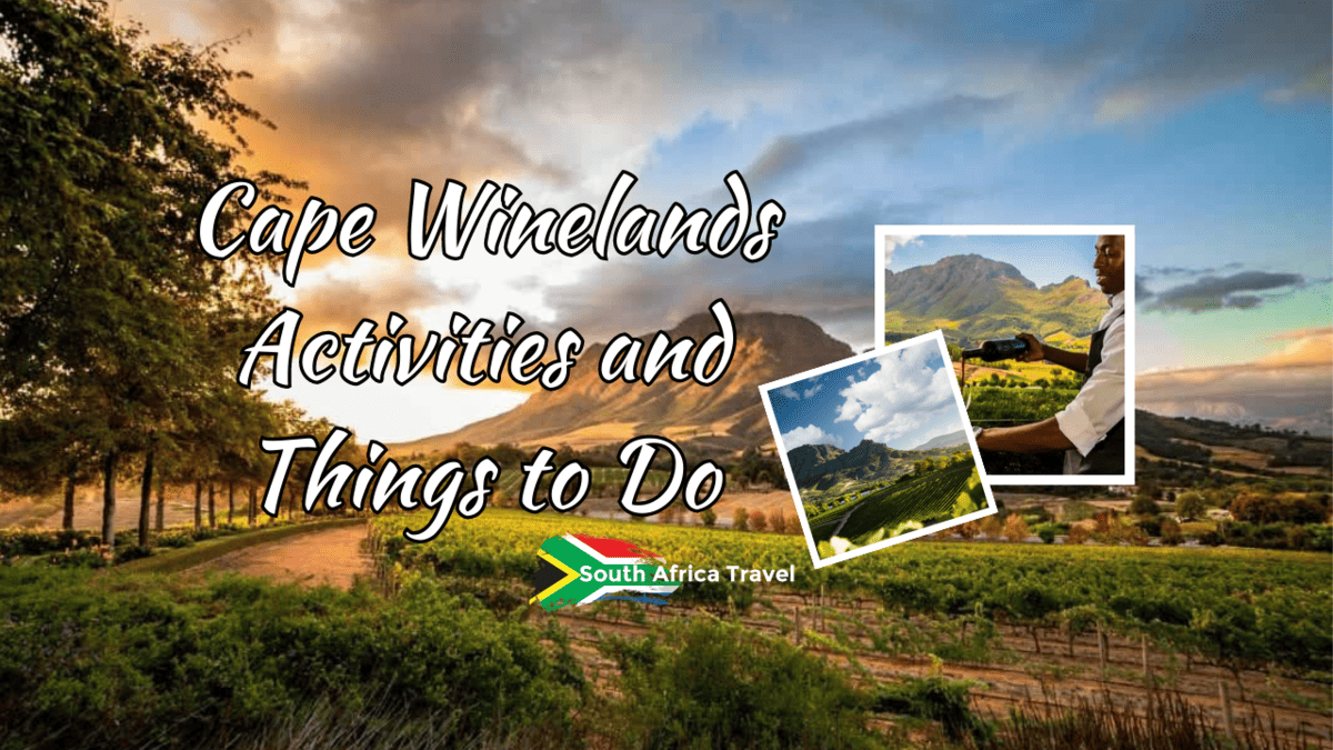 Cape Winelands Activities and Things to Do