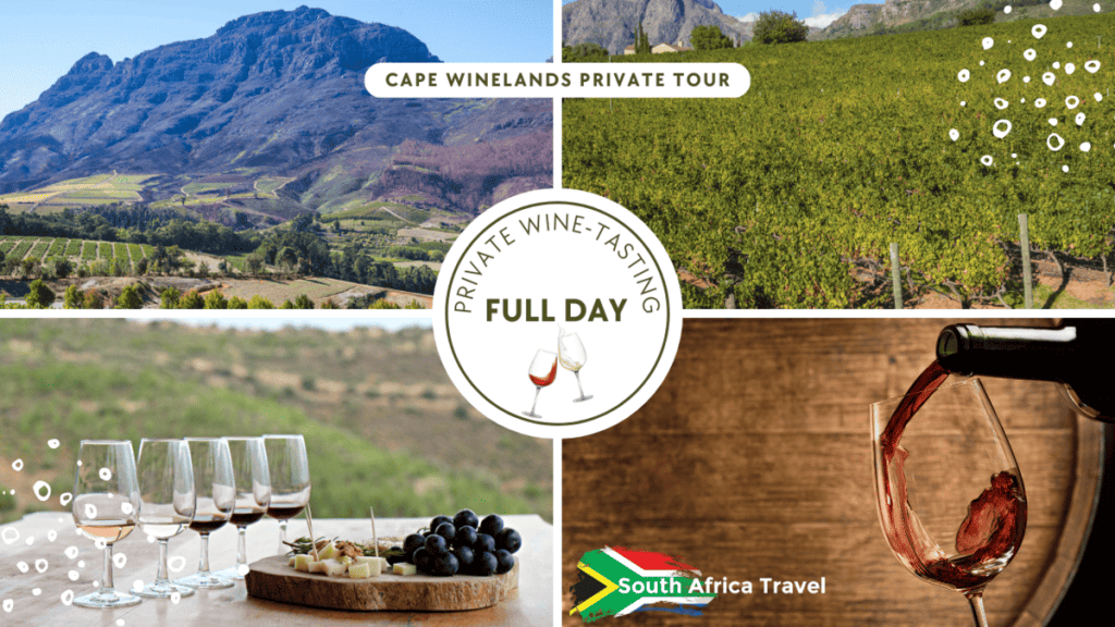 Cape Winelands Private Tour