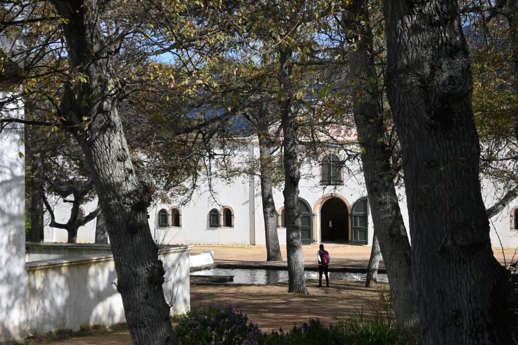 Discovering the Constantia Wine Route