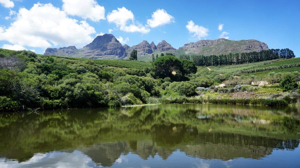 Franschhoek Wine Tram Experience