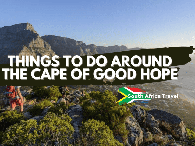 Things To Do Around The Cape Of Good Hope
