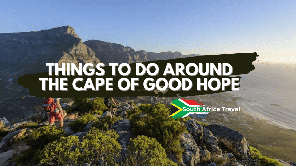 Things To Do Around The Cape Of Good Hope