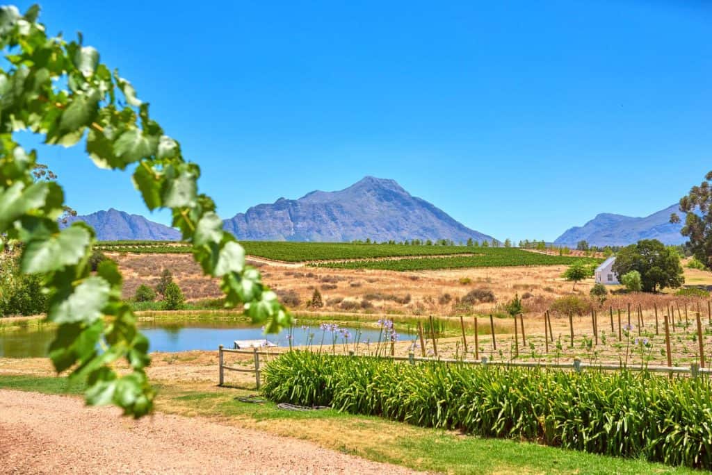 Planning a trip to the Cape Winelands