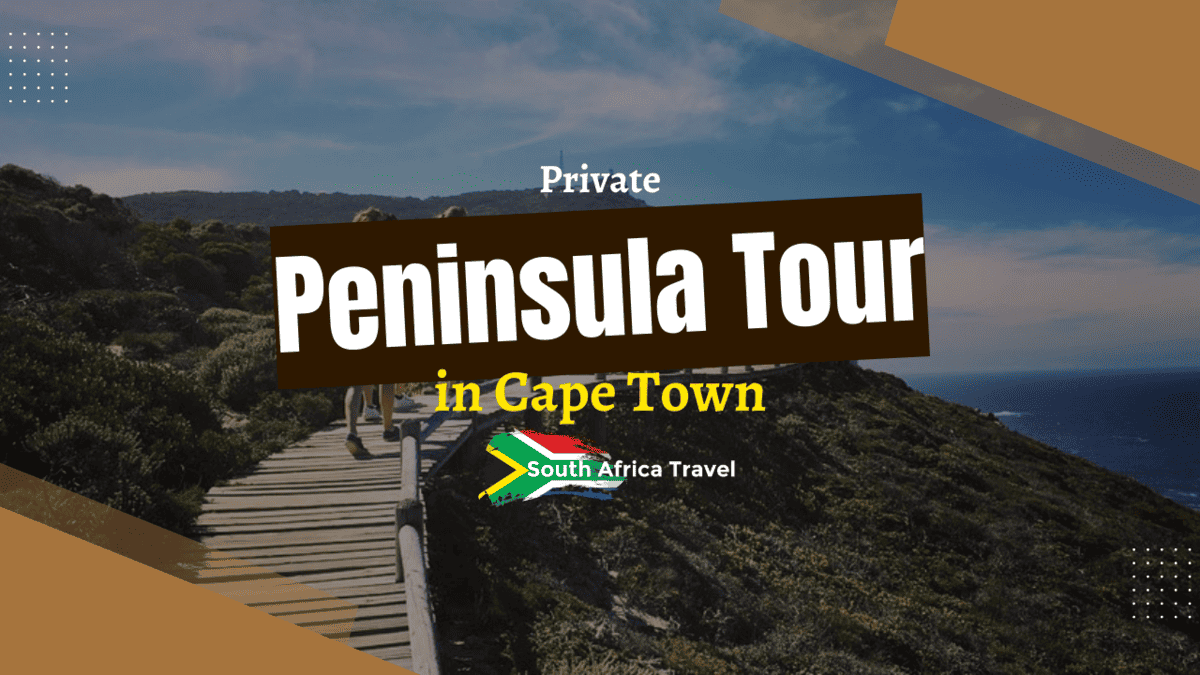 Private Peninsula Tour in Cape Town