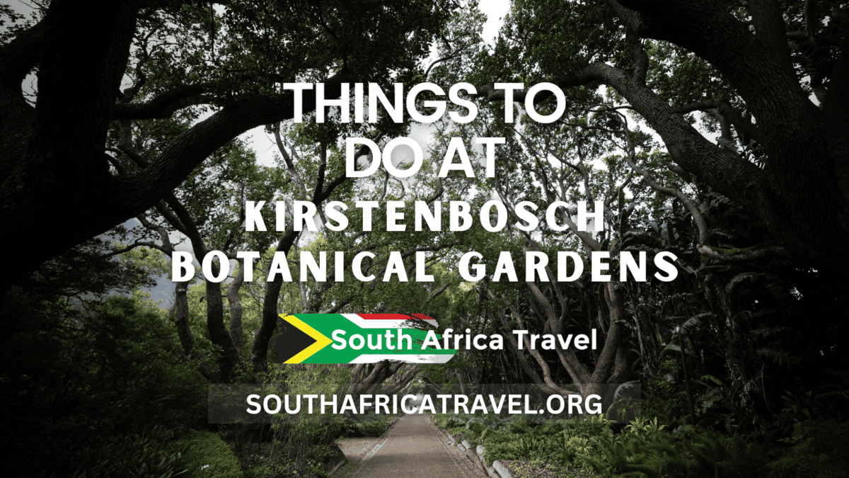 Things to do at Kirstenbosch Botanical Gardens