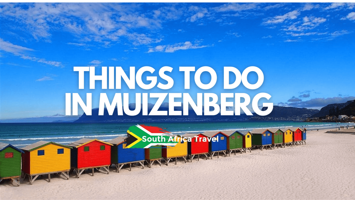Things to do in Muizenberg