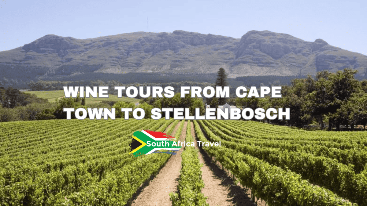 Wine Tours From Cape Town to Stellenbosch