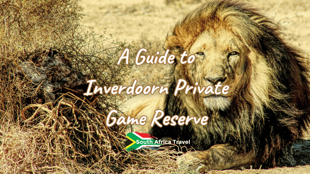 A Guide to Inverdoorn Private Game Reserve