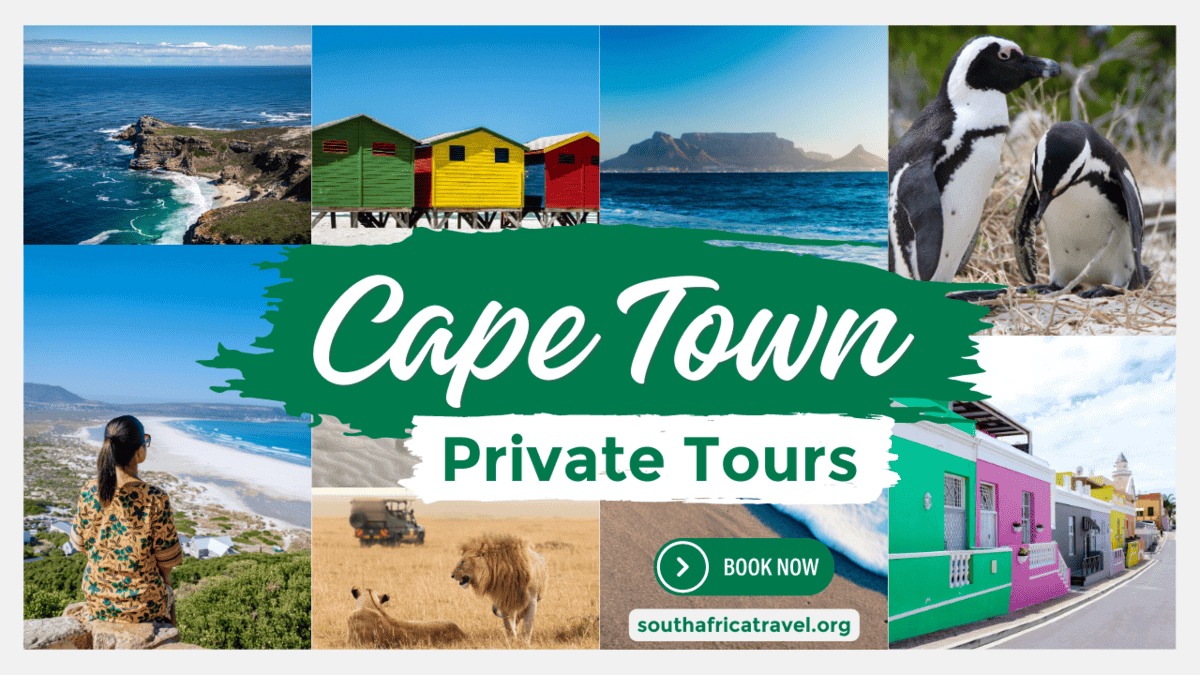 Benefits of A Private Tour Cape Town