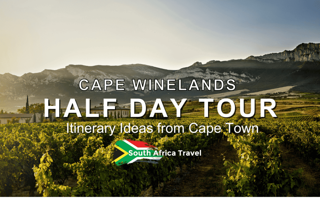 Cape Winelands Half Day Tour Itinerary Ideas from Cape Town