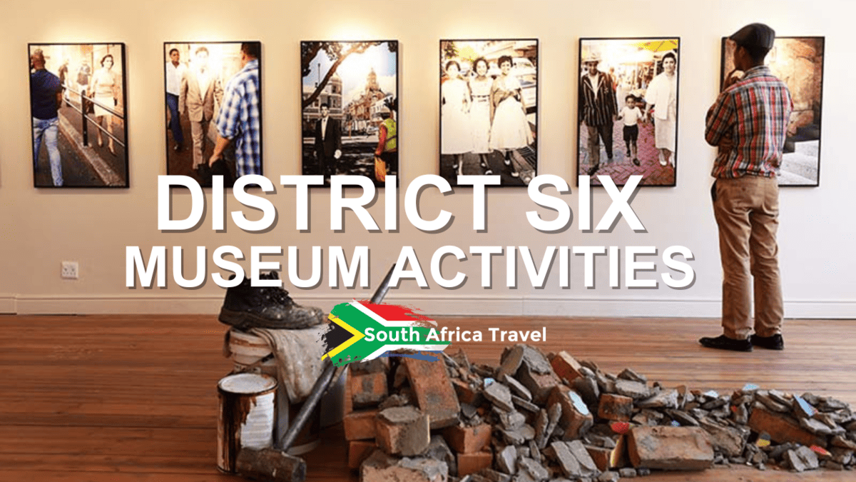 District Six Museum Activities