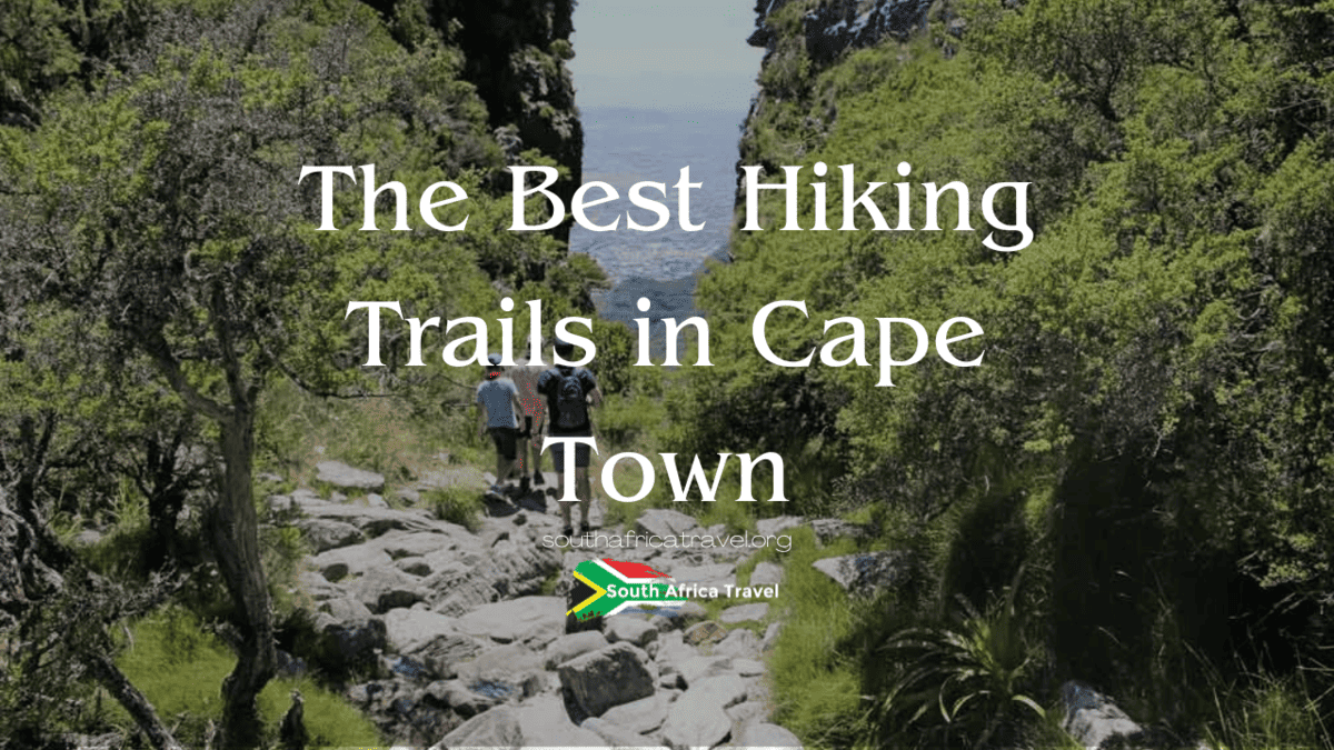 The Best Hiking Trails in Cape Town