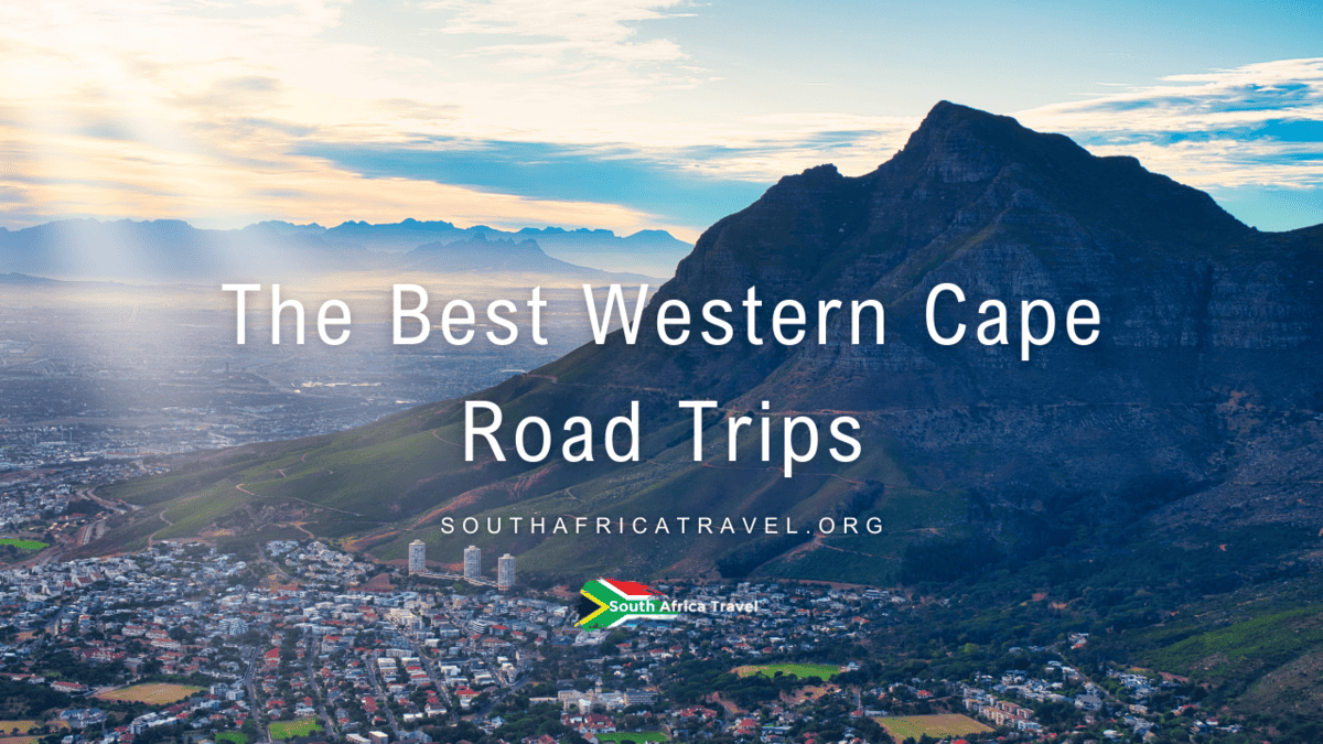 The Best Western Cape Road Trips