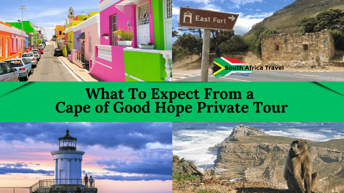 What To Expect From a Cape of Good Hope Private Tour