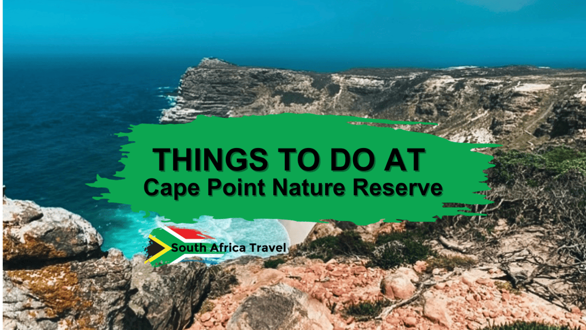 Things to Do at Cape Point Nature Reserve