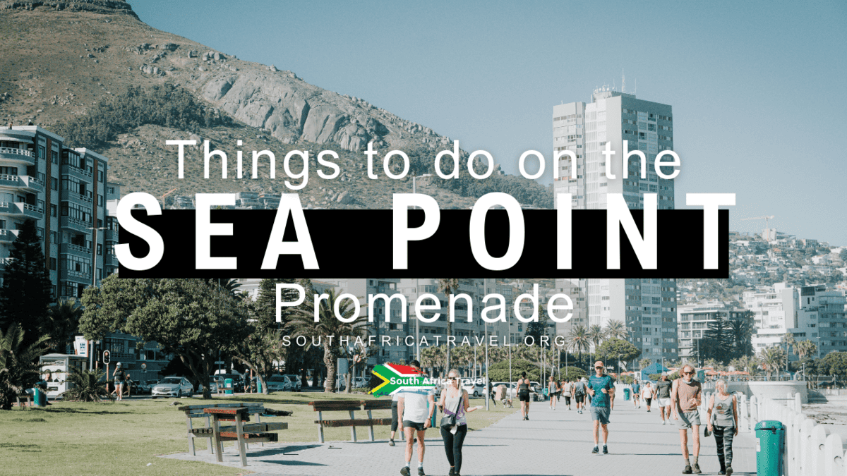 Things to do on the Sea Point Promenade