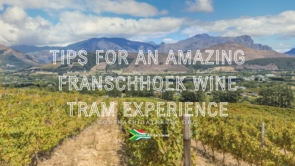 Tips for an Amazing Franschhoek Wine Tram Experience