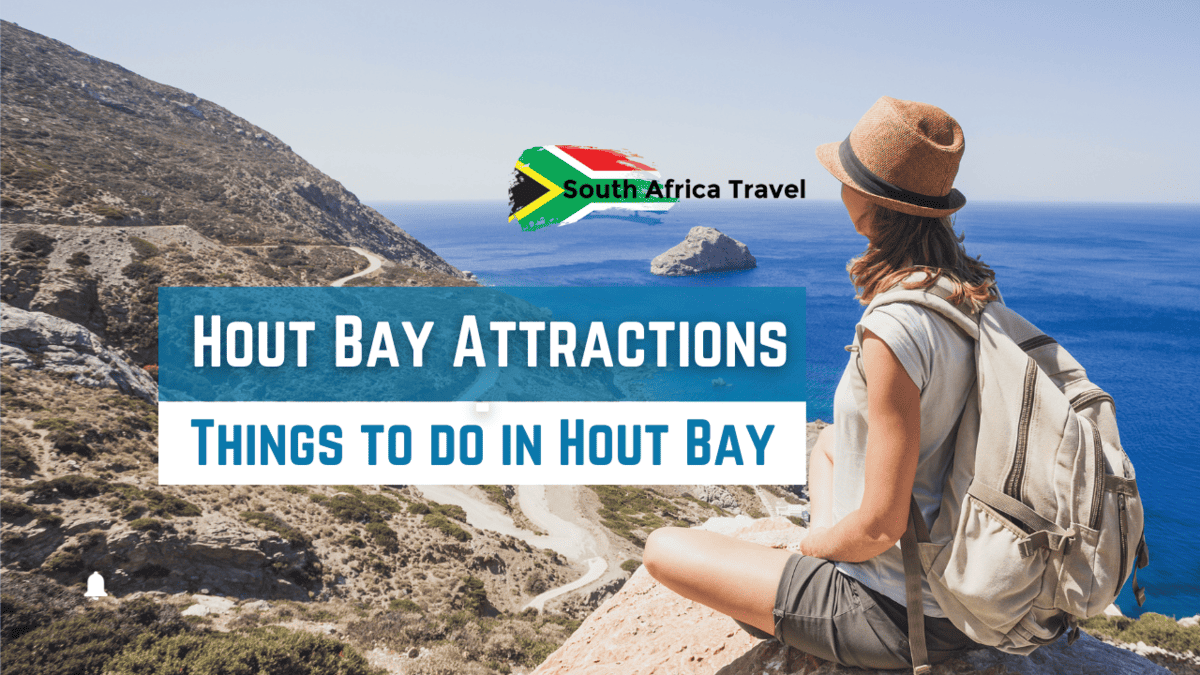 Hout Bay Attractions – Things to do in Hout Bay