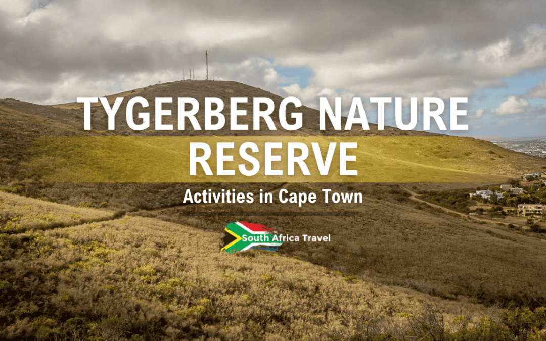 Tygerberg Nature Reserve Activities in Cape Town
