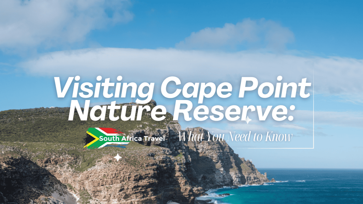 Visiting Cape Point Nature Reserve: What You Need to Know