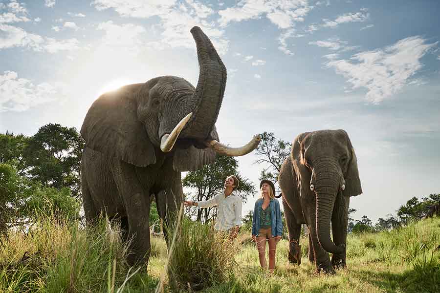 Wildlife Encounters on a Private Tour