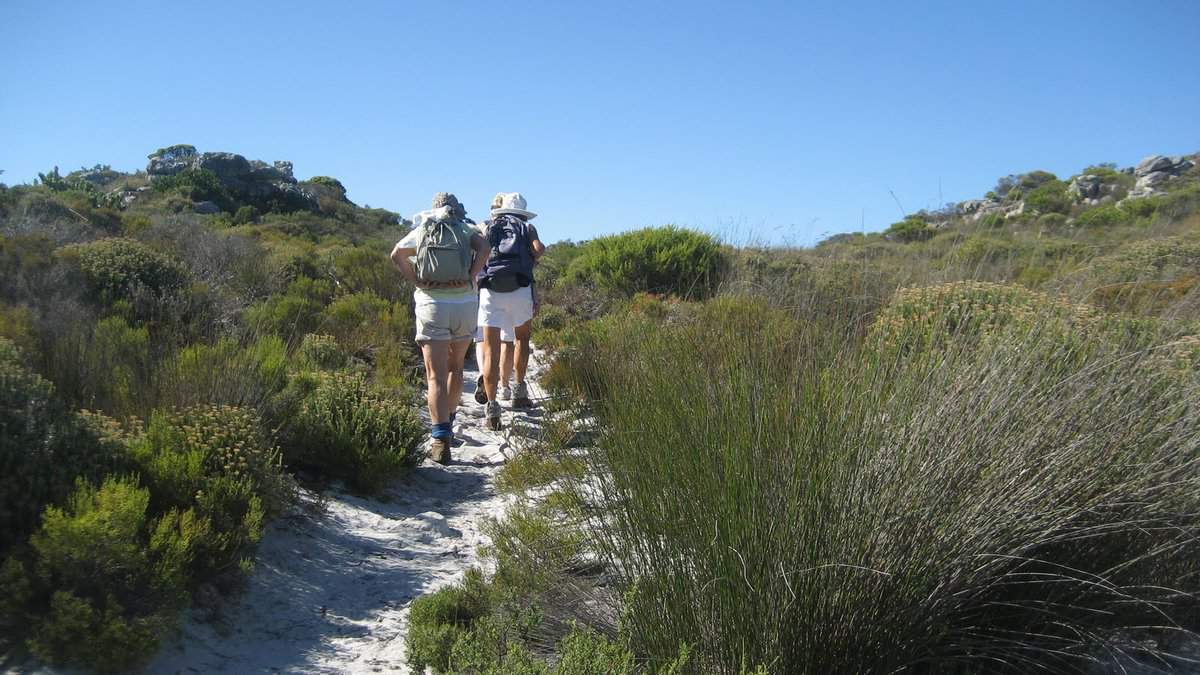 Kommetjie Adventures Your Guide To Fun Things To Do