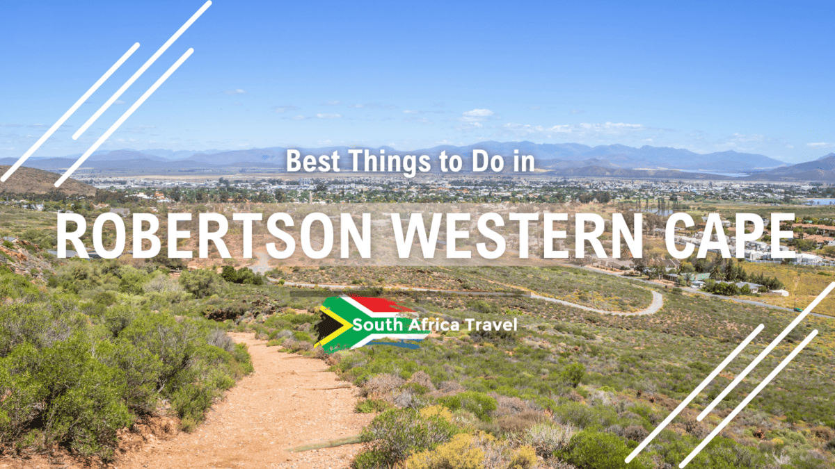 Best Things to Do in Robertson Western Cape Robertson Tours
