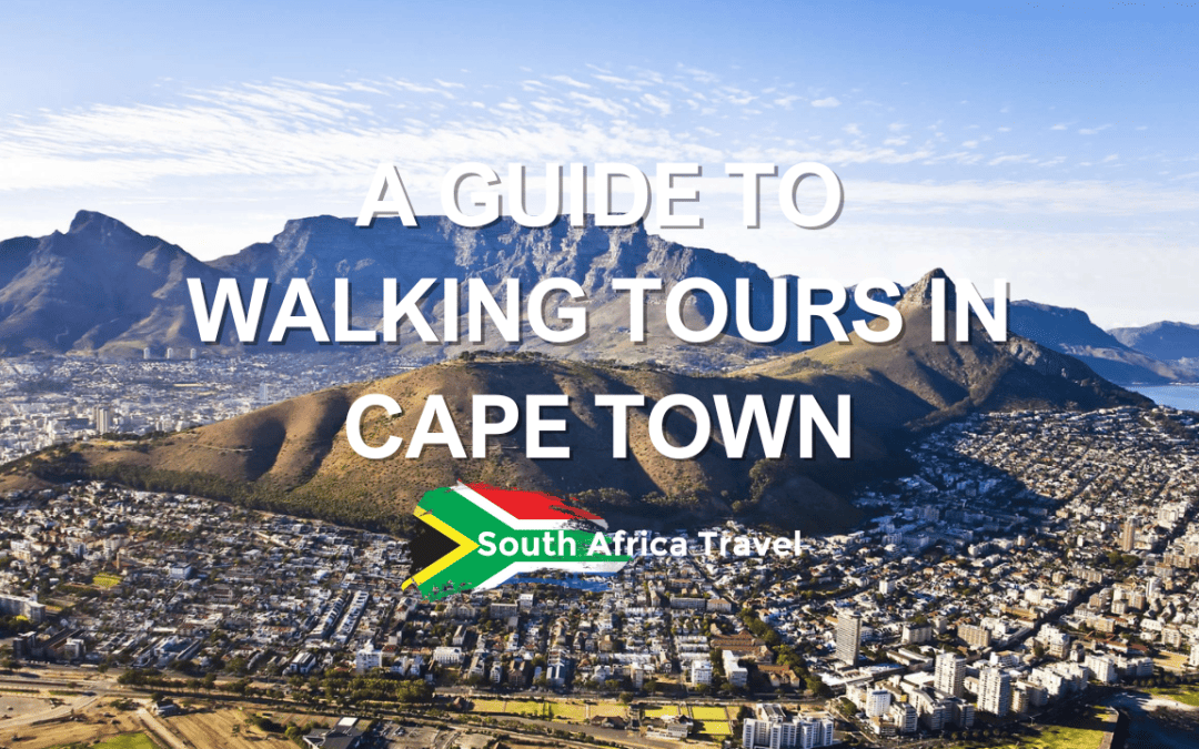 A Guide to Walking Tours in Cape Town